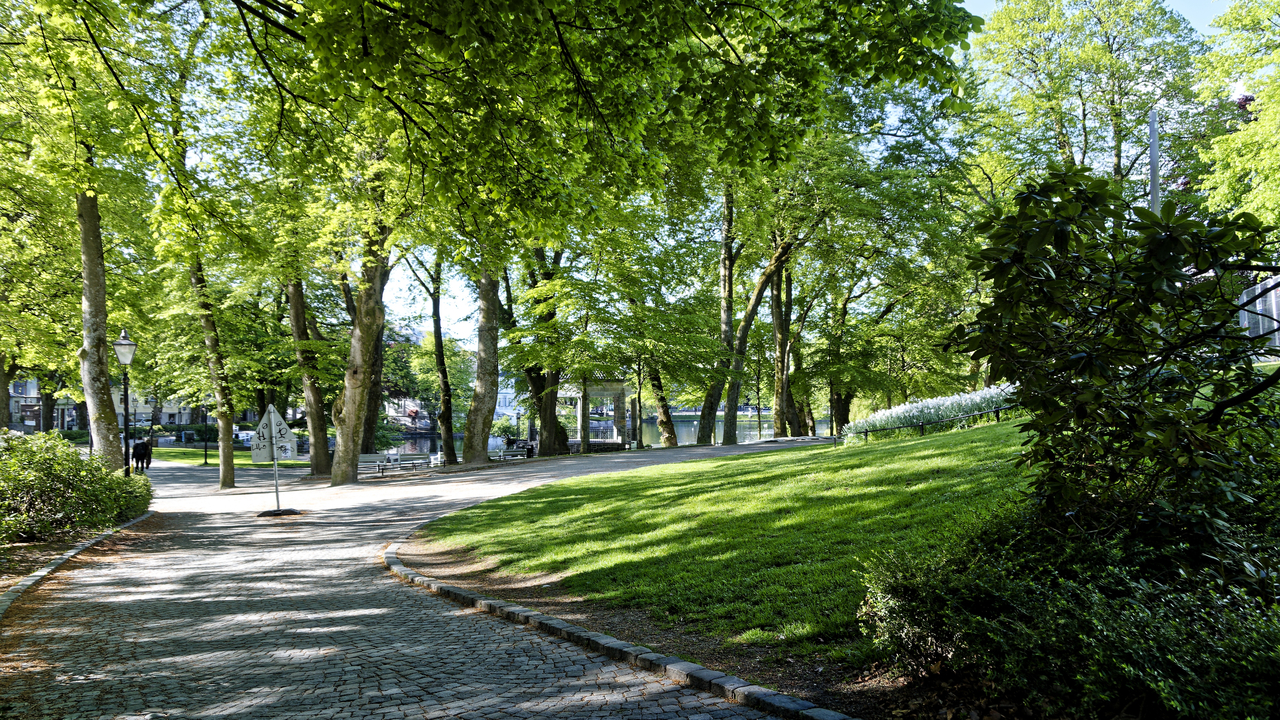20220522 084818~Stavanger~Rogaland~Norway